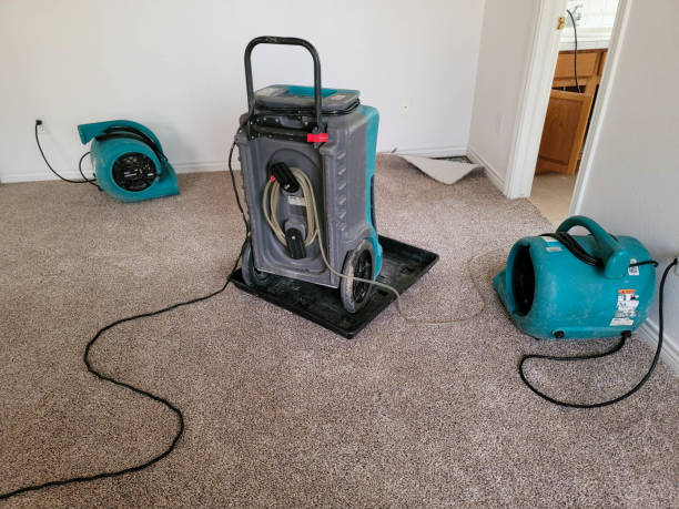 Best Professional water damage repair  in Rio Linda, CA