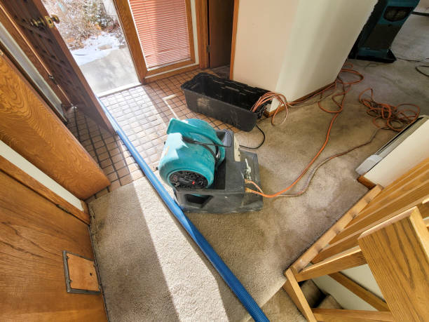 Best Basement water damage restoration  in Rio Linda, CA