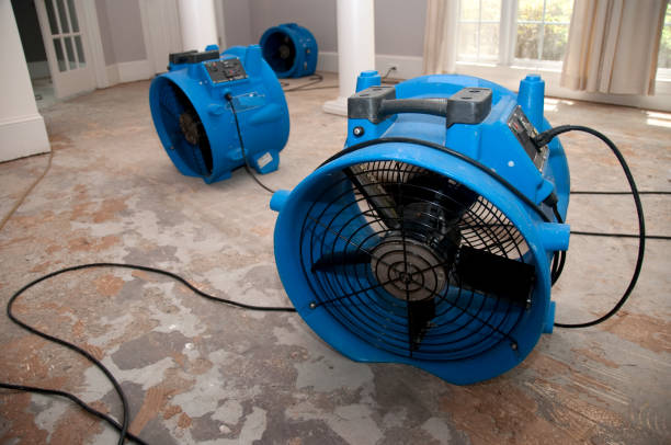 Best Ceiling water damage repair  in Rio Linda, CA