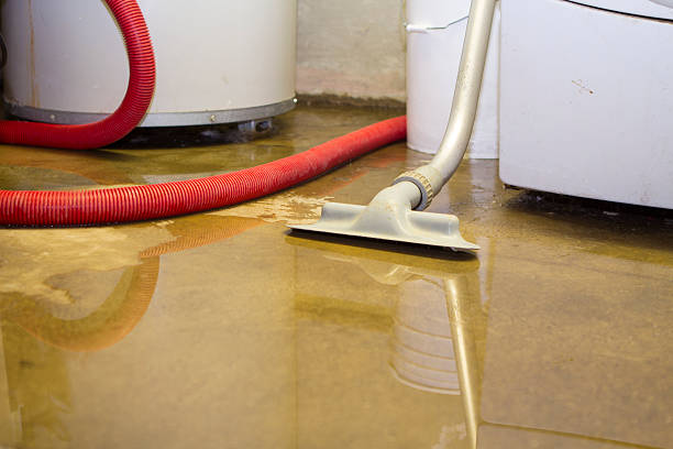 Best Fire Damage Restoration  in Rio Linda, CA