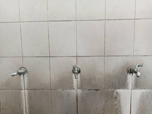 Best Water damage contractors near me  in Rio Linda, CA