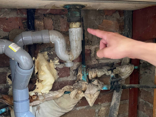 Best Flood damage cleanup  in Rio Linda, CA