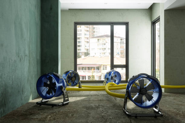 Best Water damage cleanup near me  in Rio Linda, CA